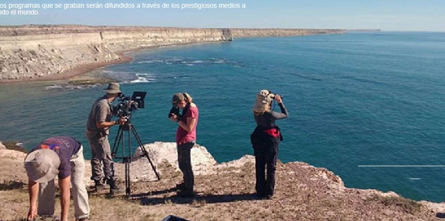 Fauna marina patagónica