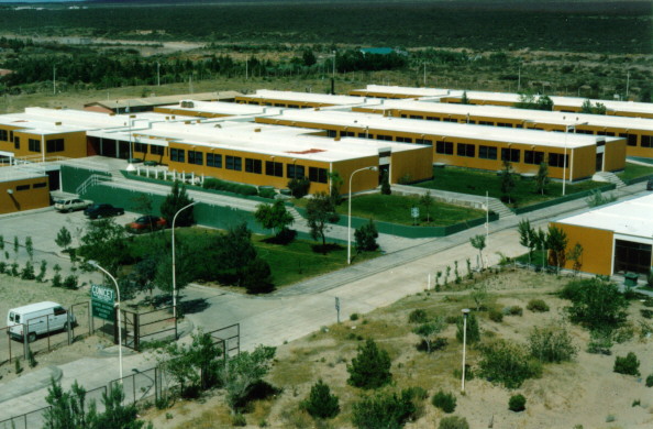 Fauna marina patagónica