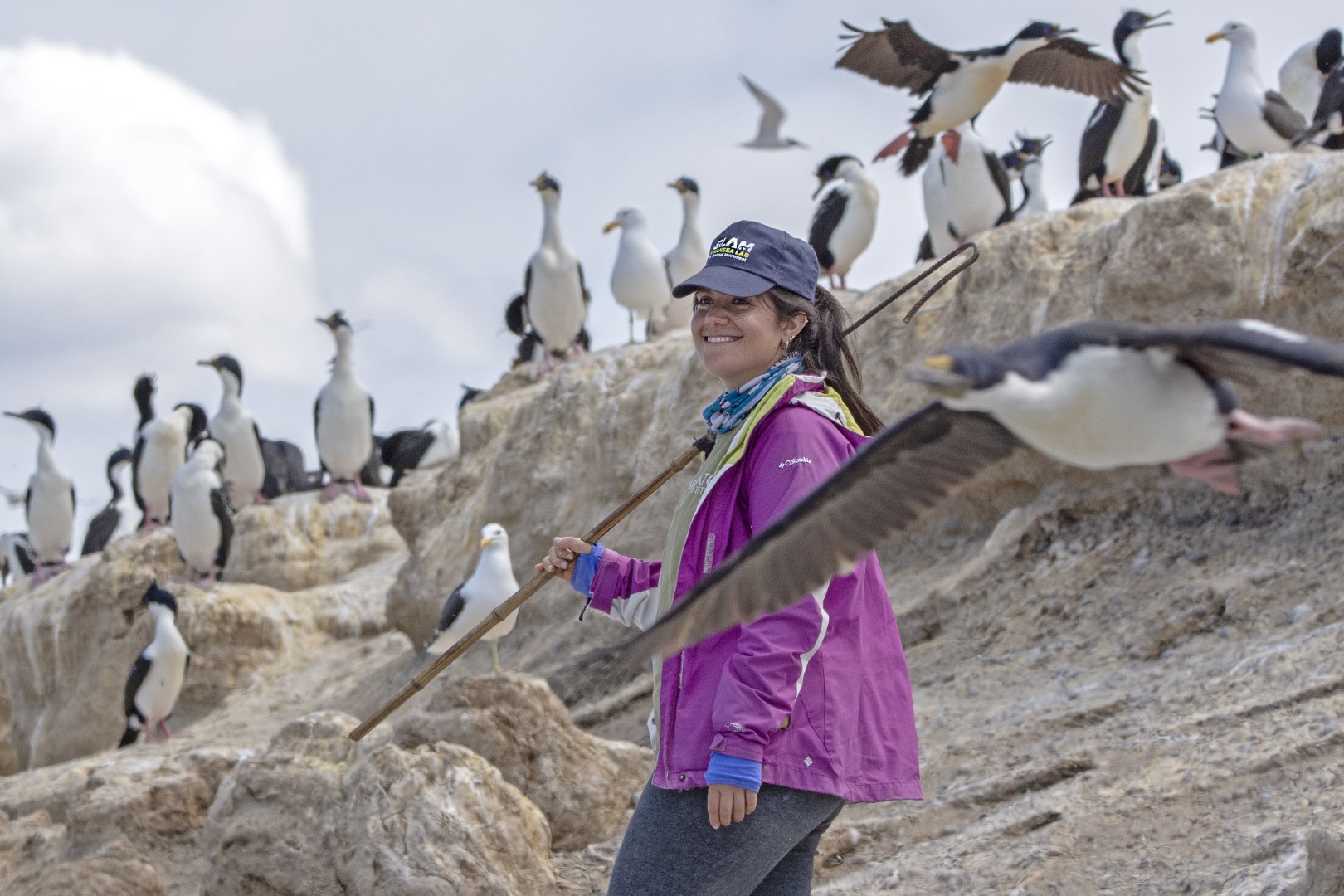 Fauna marina patagónica
