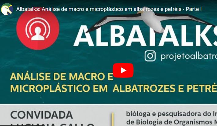 Detección de micro y macro plásticos en Albatros y grandes Petreles